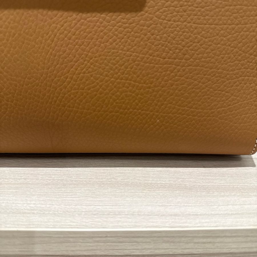 DELVAUX TEMPETE焦糖-15