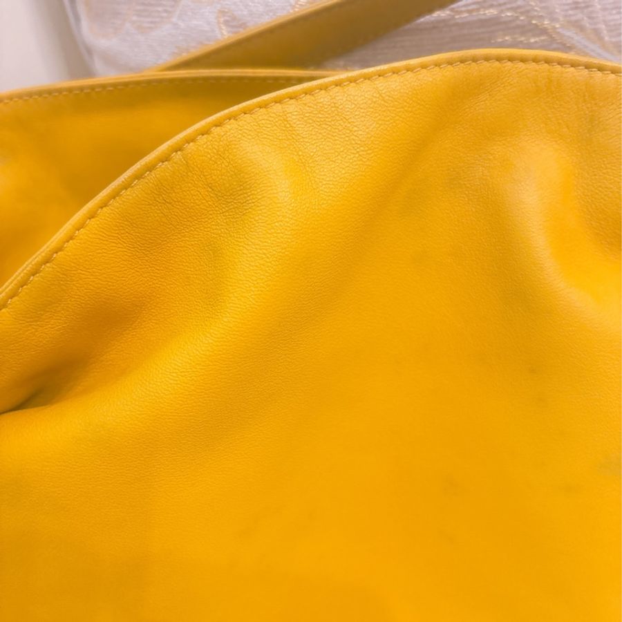 Loewe斜背、側背兩用包 (不議價)-1
