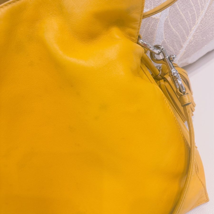 Loewe斜背、側背兩用包 (不議價)-2