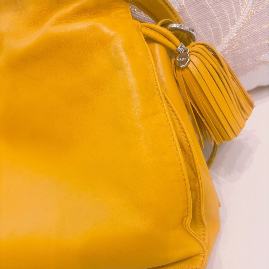 Loewe斜背、側背兩用包 (不議價)-5