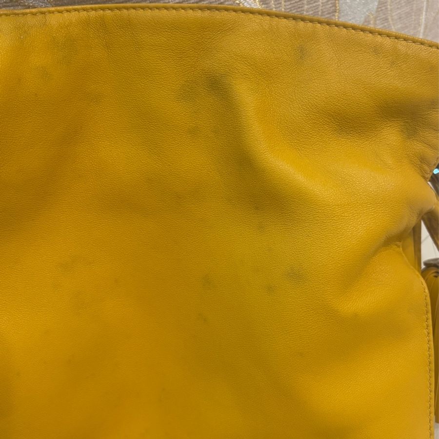 Loewe斜背、側背兩用包 (不議價)-22