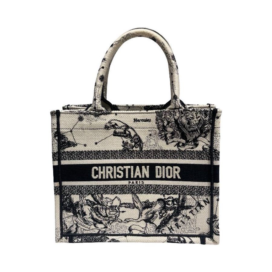 DIOR BOOK TOTE SMALL-0
