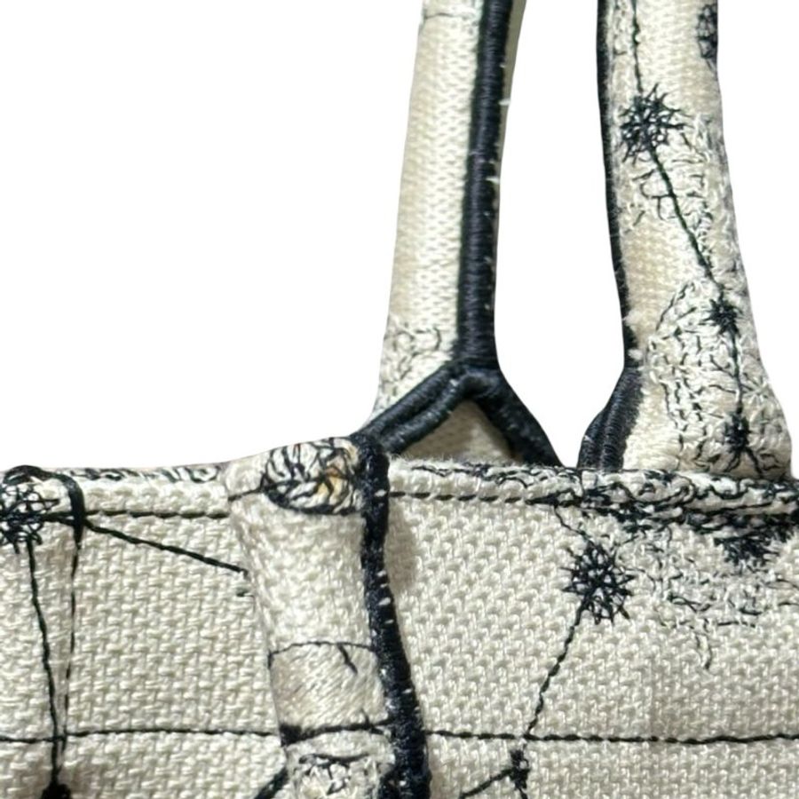 DIOR BOOK TOTE SMALL-9