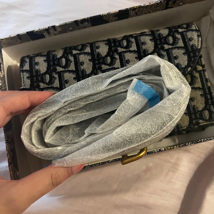 Dior saddle 老花 腰包-10