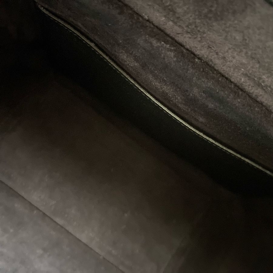 Celine belt 鯰魚包 micro-16