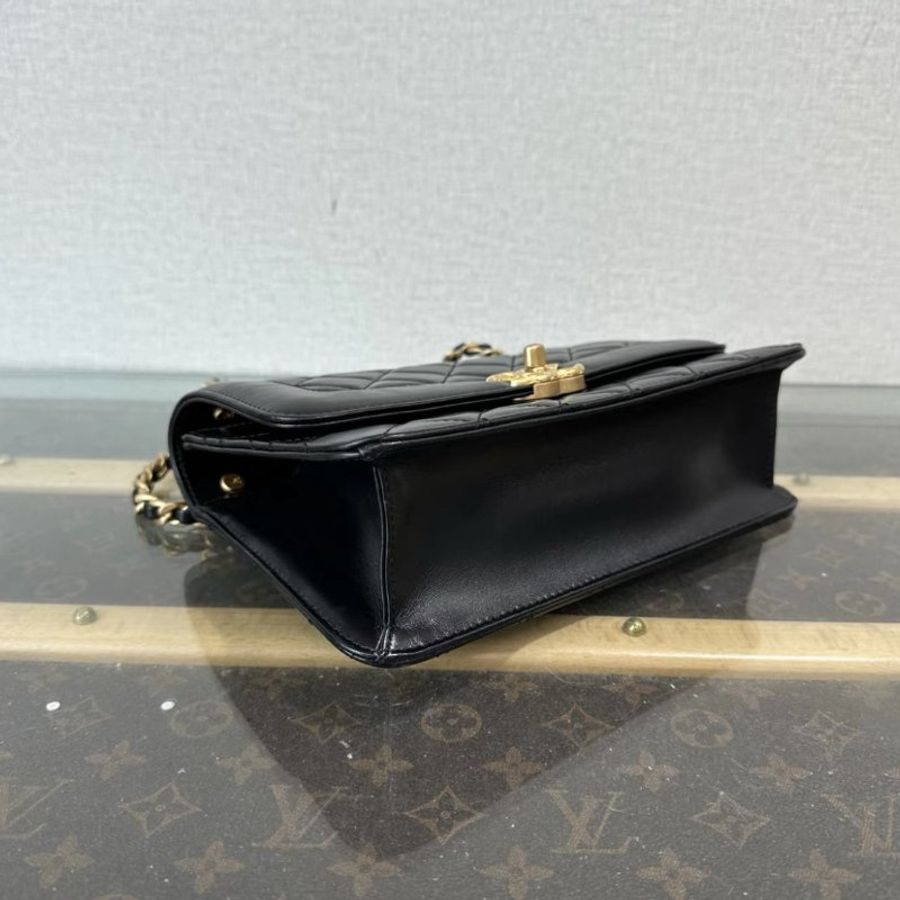 CHANEL 黑金雙金環黛妃肩背斜背包20*13*5.5 98新配件塵袋-3