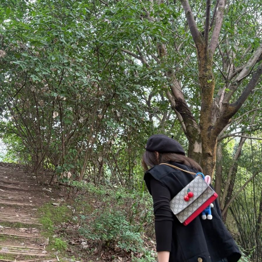 全新 GUCCI古馳 櫻桃🍒老花Logo 帆布 斜挎包-3