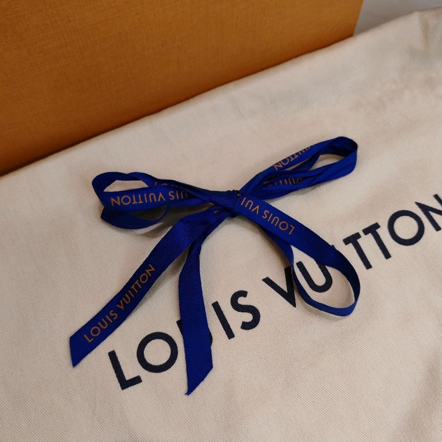 Louis Vuitton Souple Bag-25