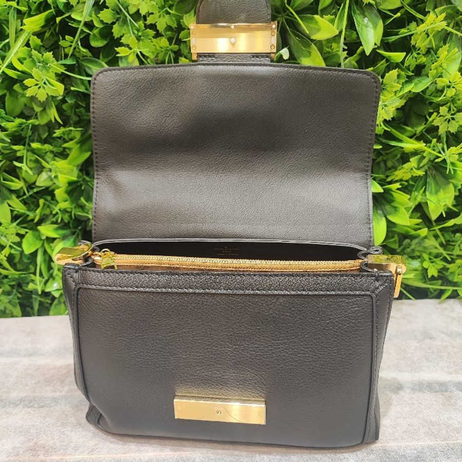 Louis Vuitton Dauphine Soft MM-10