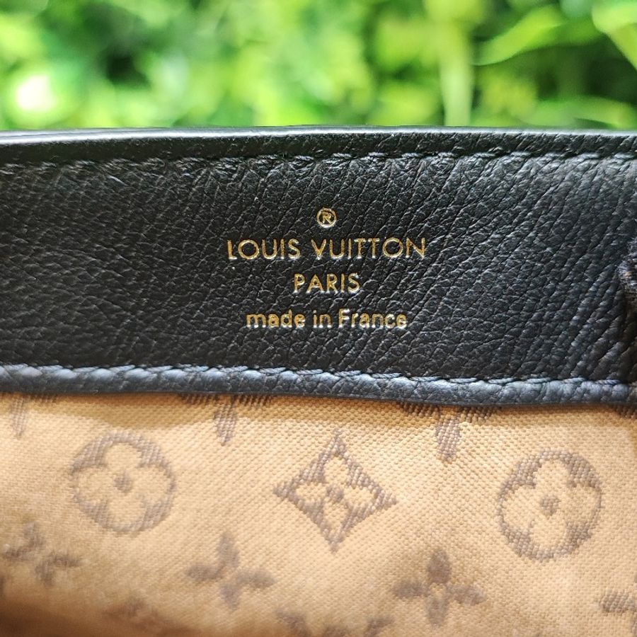 Louis Vuitton Dauphine Soft MM-12