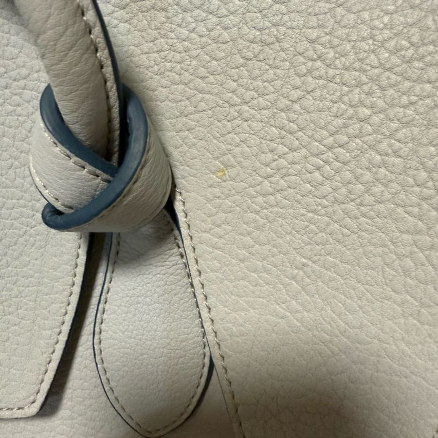 Celine tote bag-8