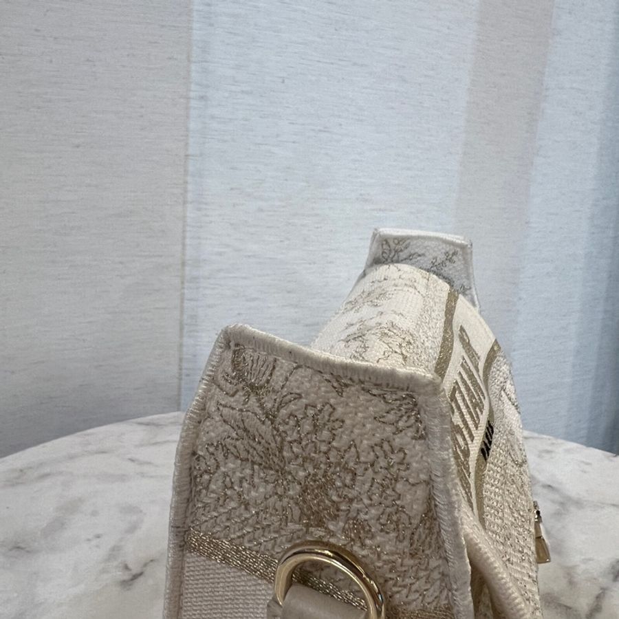 Dior 白帆布刺繡Camp小號斜背信差包-2