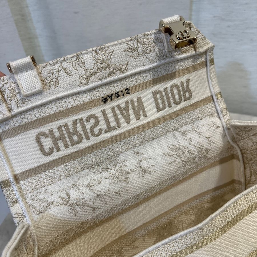 Dior 白帆布刺繡Camp小號斜背信差包-11
