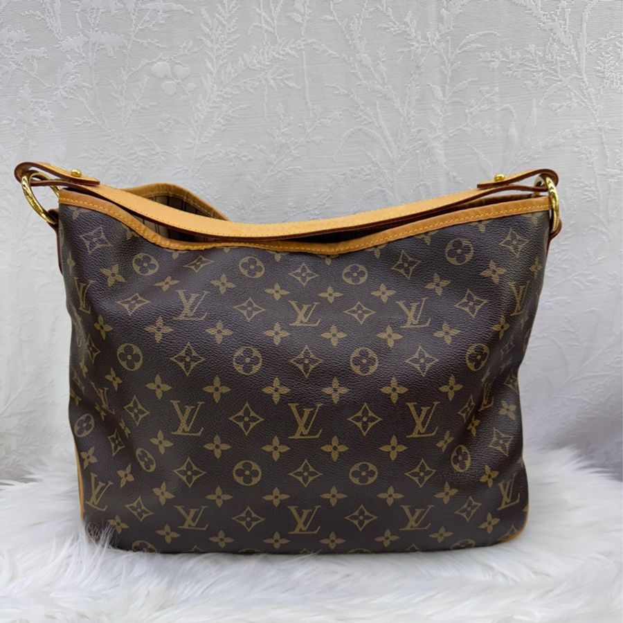Louis Vuitton Monogram Delightful PM Bag-1