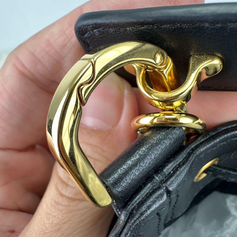 DIOR Jolie Small Size 黑色羊皮水桶包 2024年-13