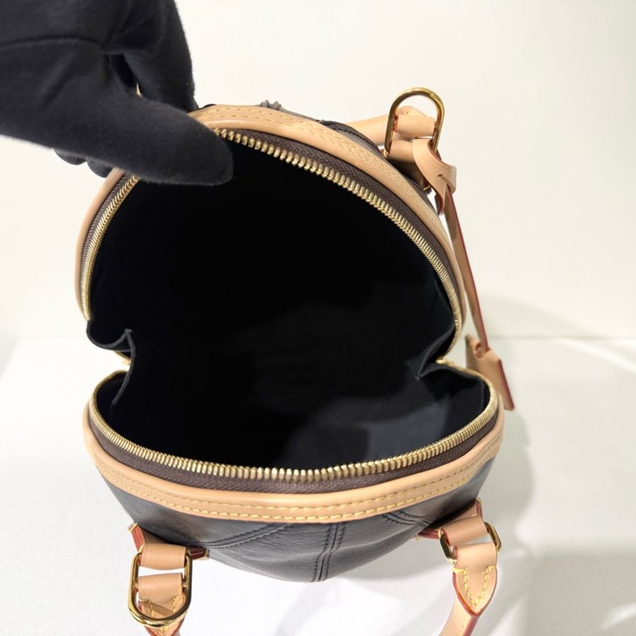 LV EGG 原花恐龍蛋手提鍊包 M45269-13