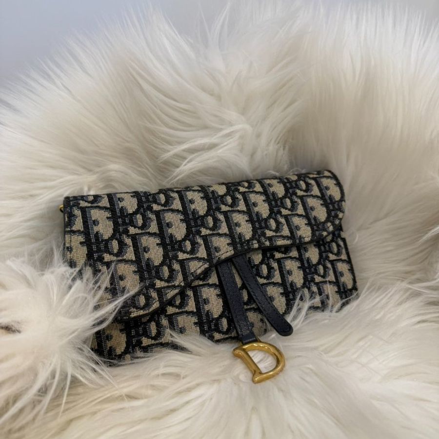Dior saddle woc-1