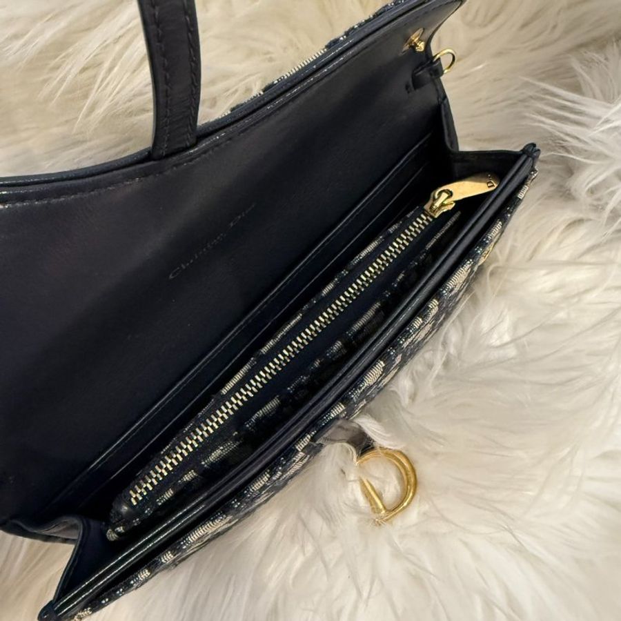 Dior saddle woc-3