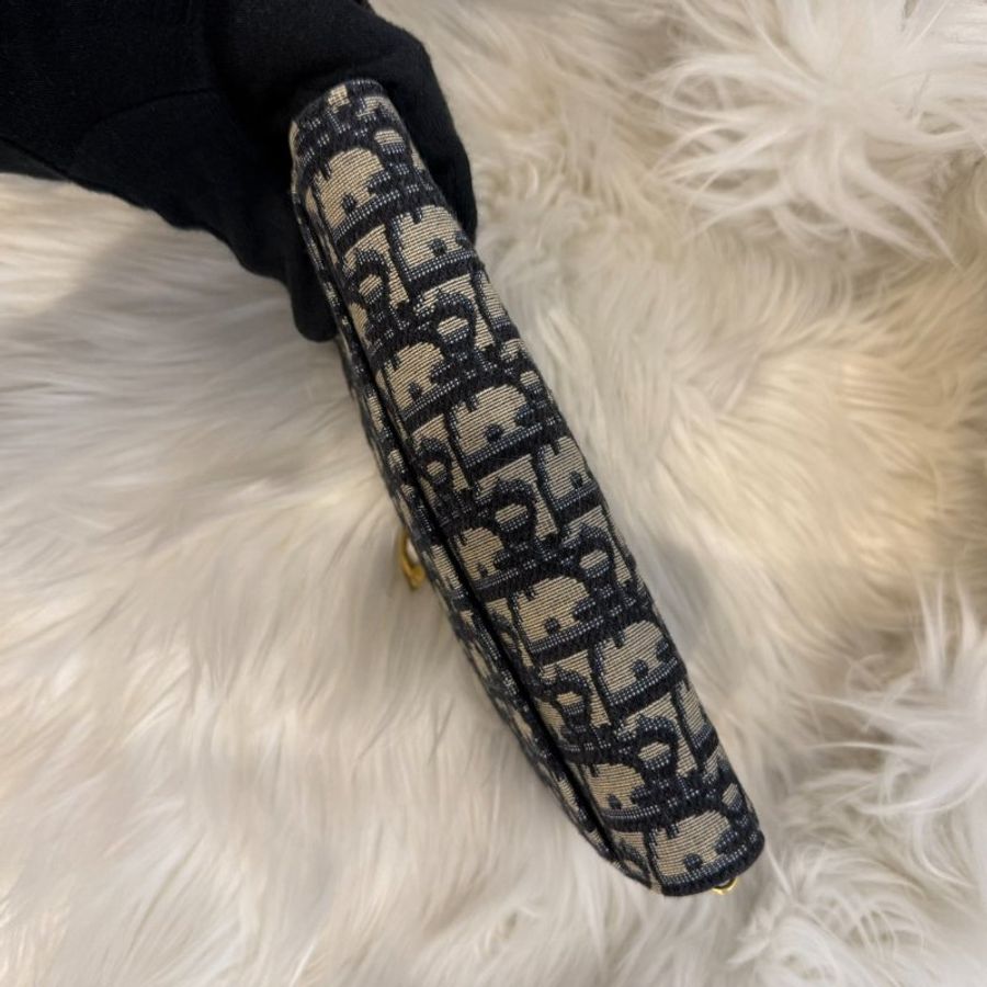 Dior saddle woc-4