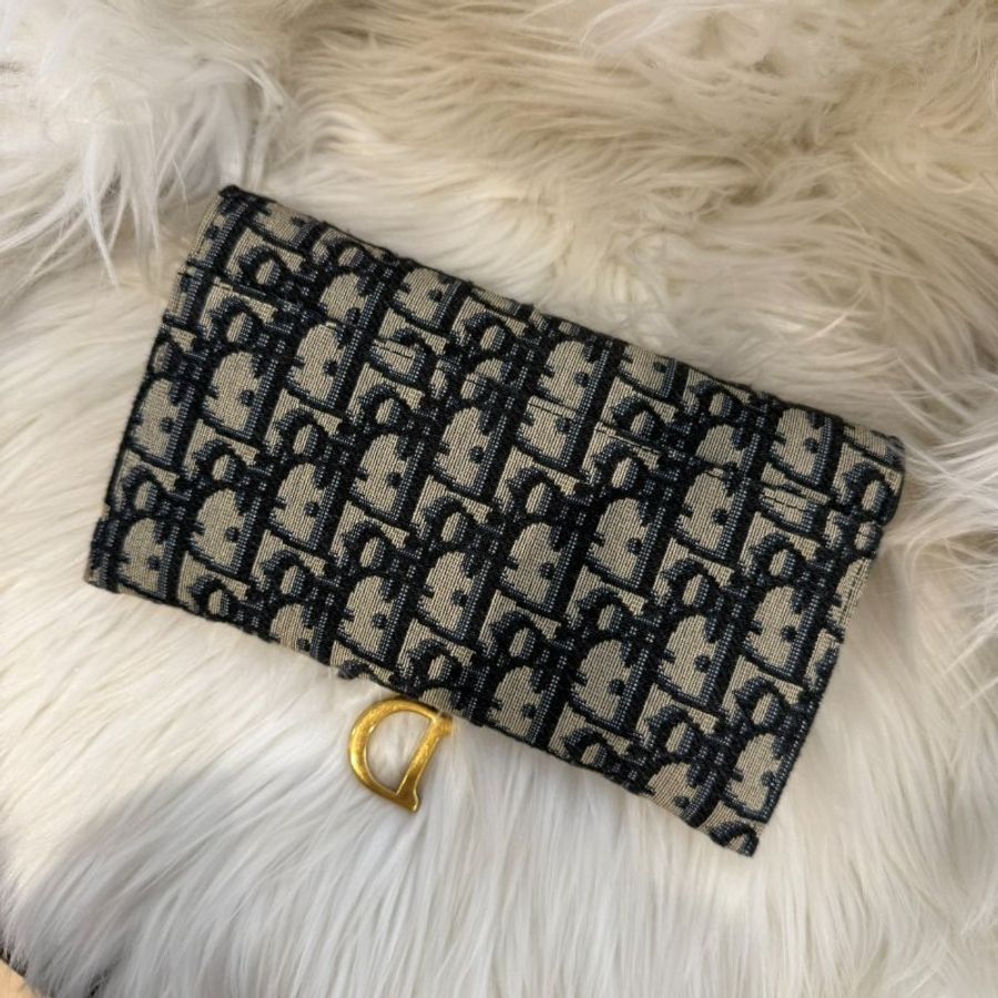 Dior saddle woc-5
