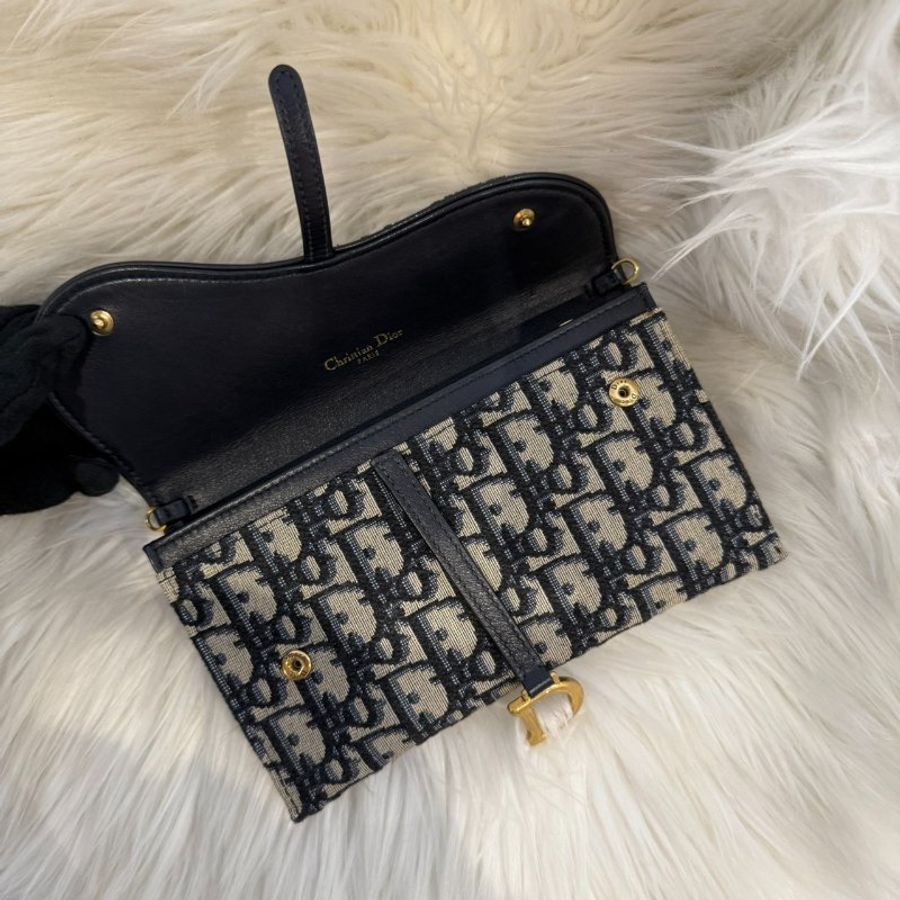 Dior saddle woc-6