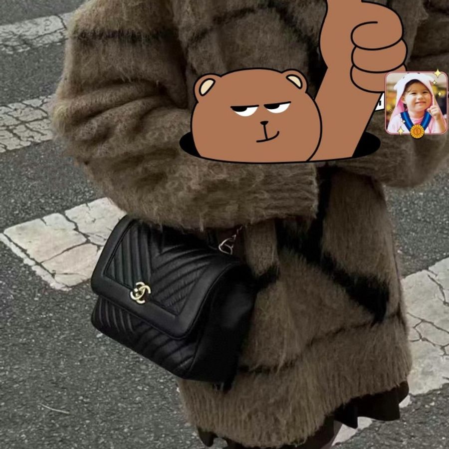 Chanel handle flap-5