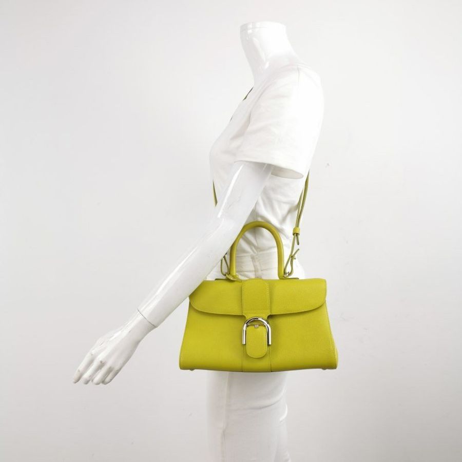 Delvaux Brillant East West 牛皮 純色 馬蹄扣 斜挎包 單肩包-1