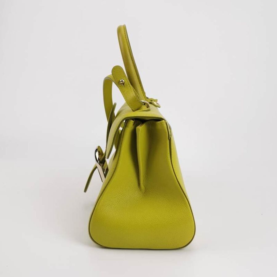 Delvaux Brillant East West 牛皮 純色 馬蹄扣 斜挎包 單肩包-2