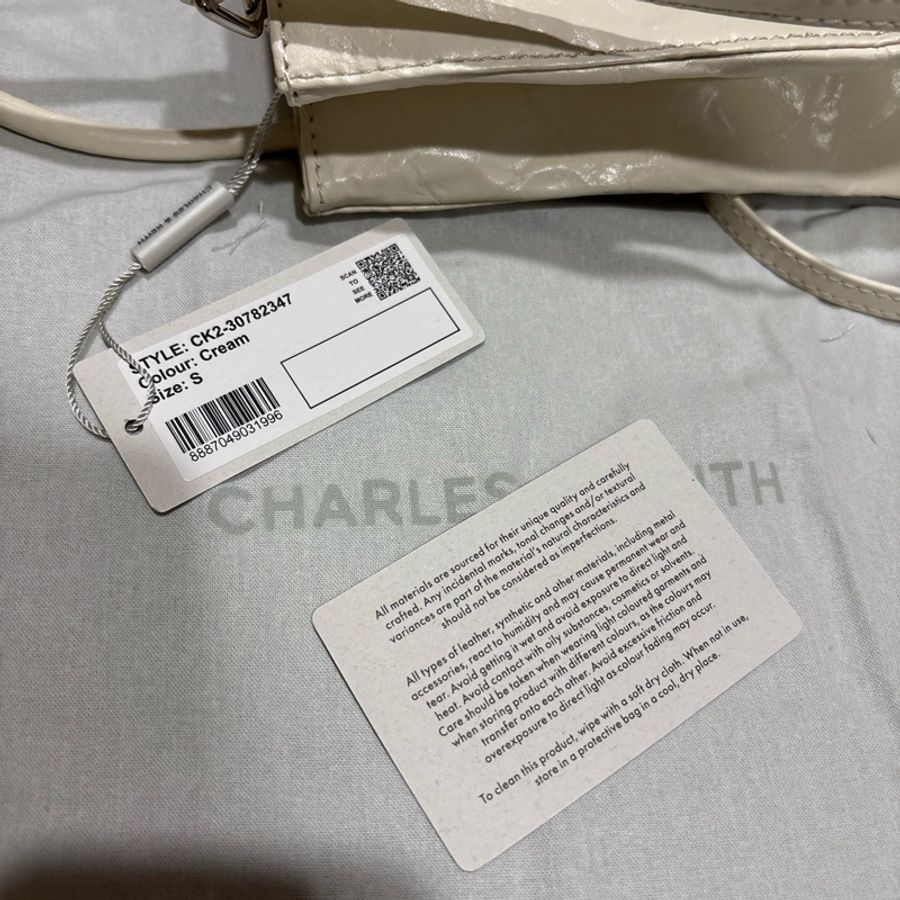 CHARLES & KEITH 紙袋包-18