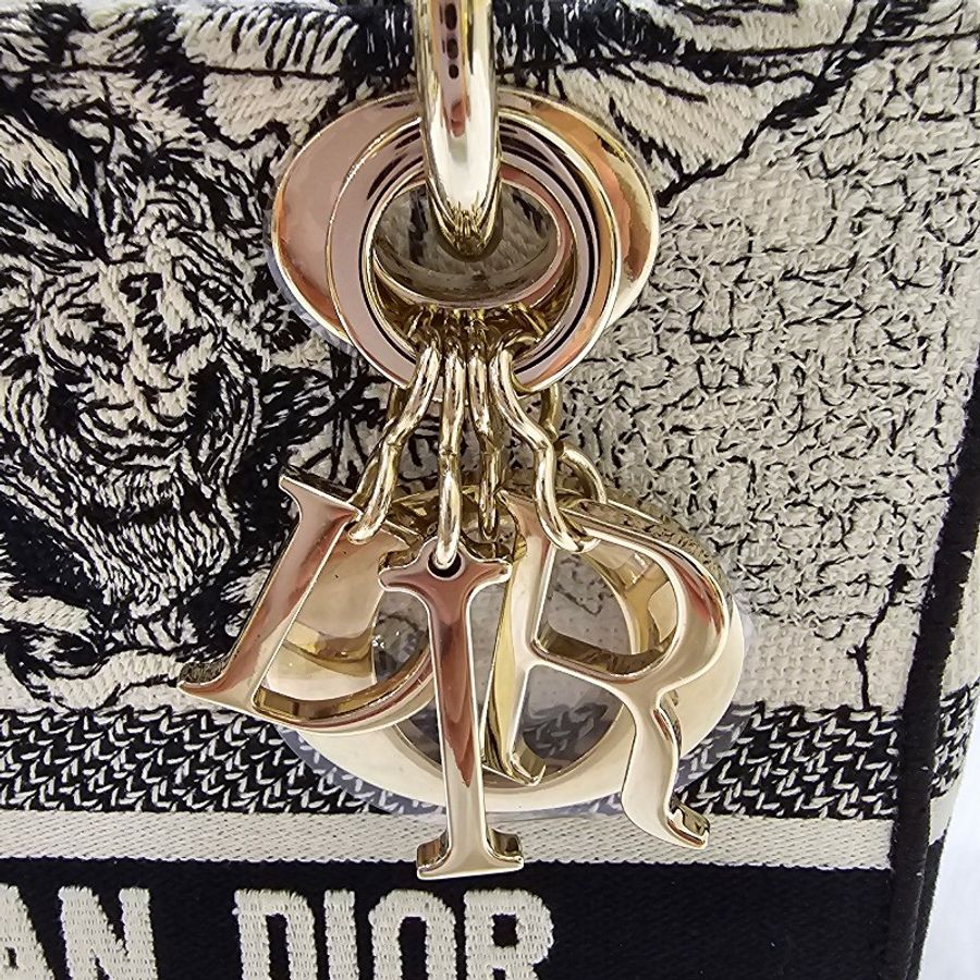 Lady Dior 星座刺繡黛妃包中號-1