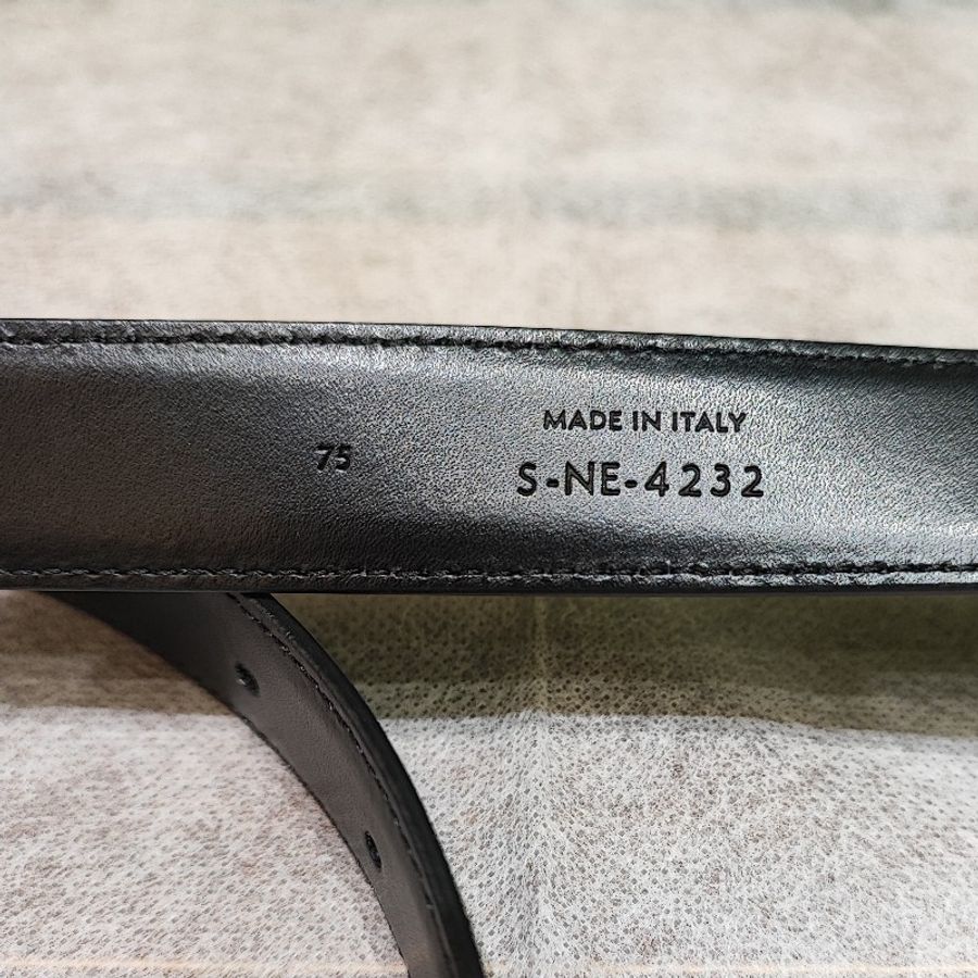 Celine Belt Bag Triomphe-7