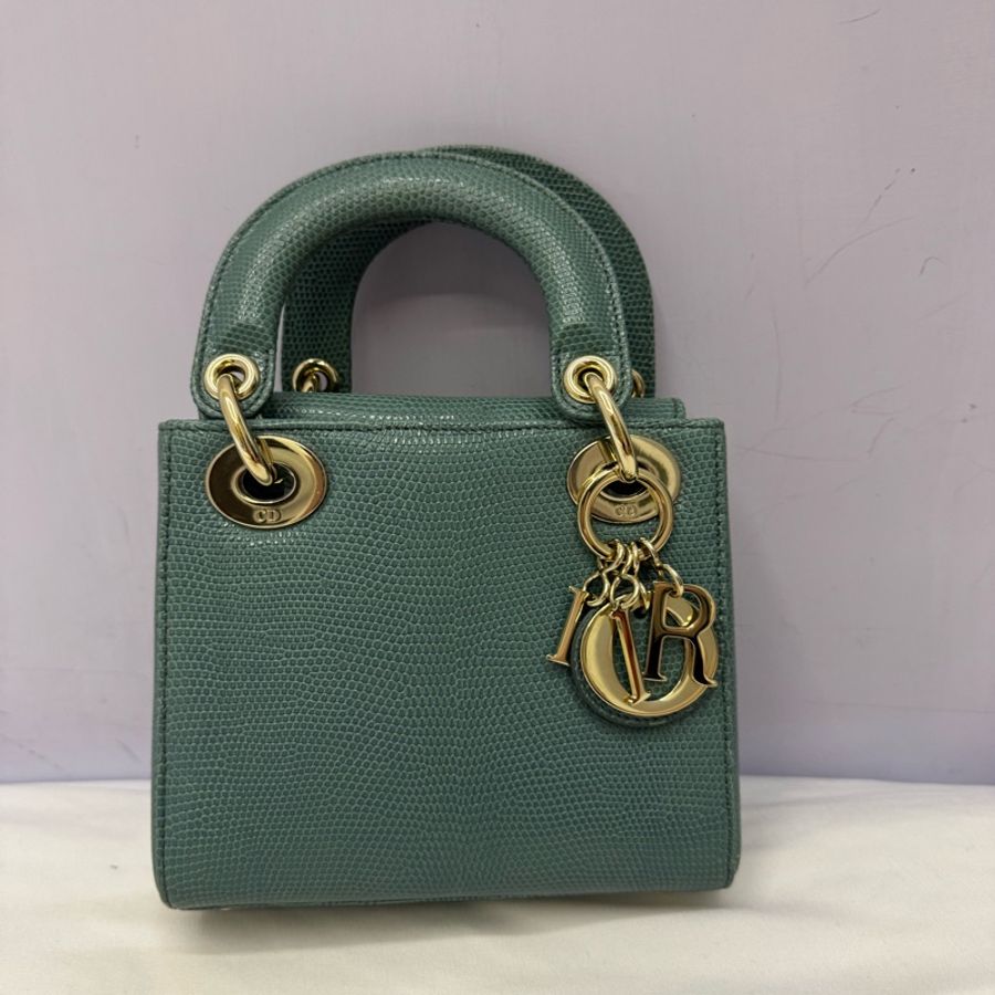 dior 黛妃包 蜥蜴皮-0