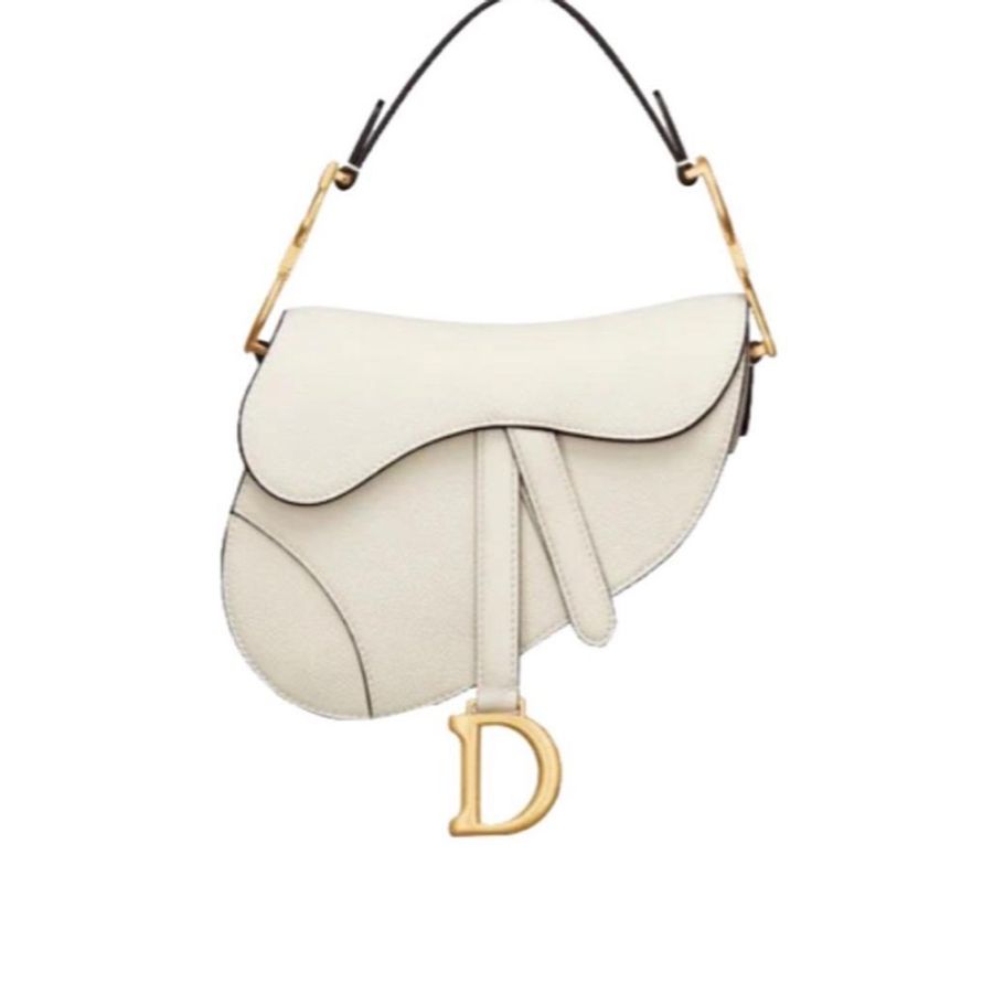 Dior mini 馬鞍包-1
