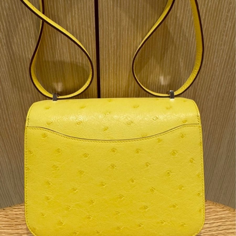 HERMÈS Mini Constance鴕鳥皮-1