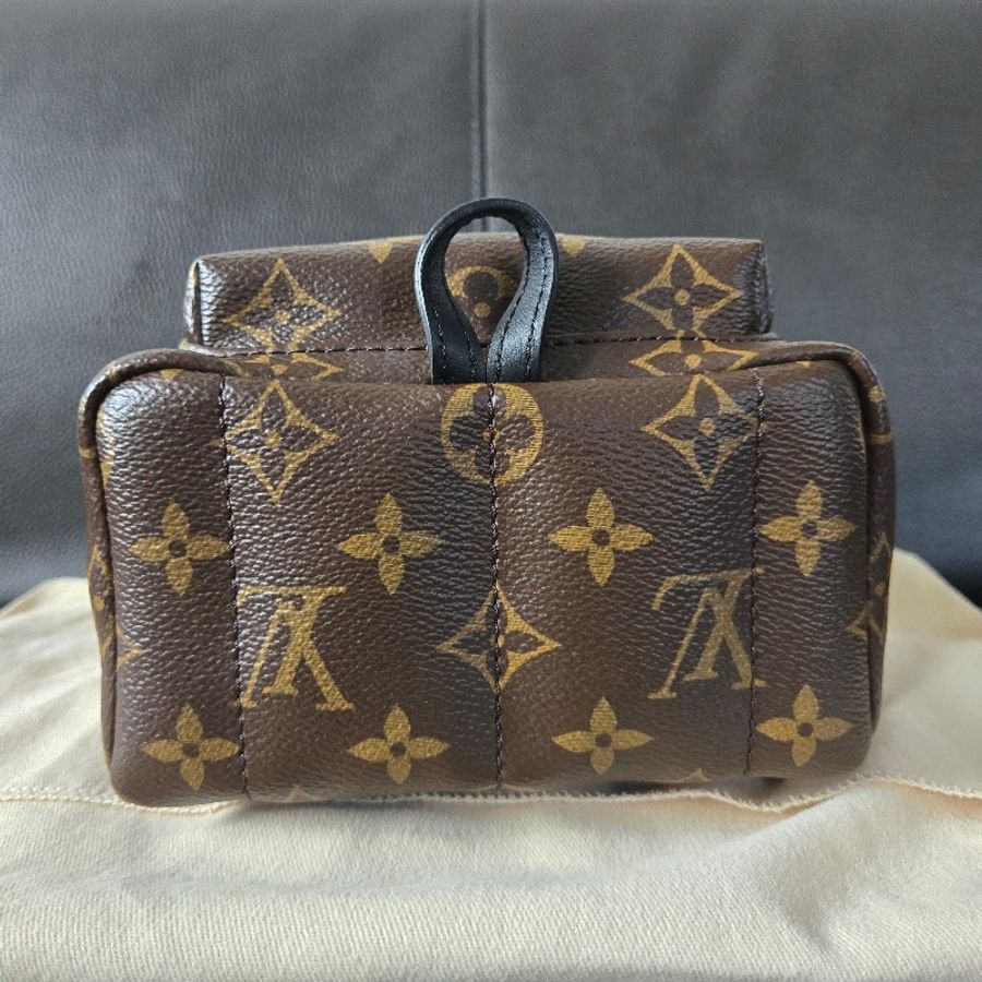 LV Palm Springs Mini backpack 小背包-2