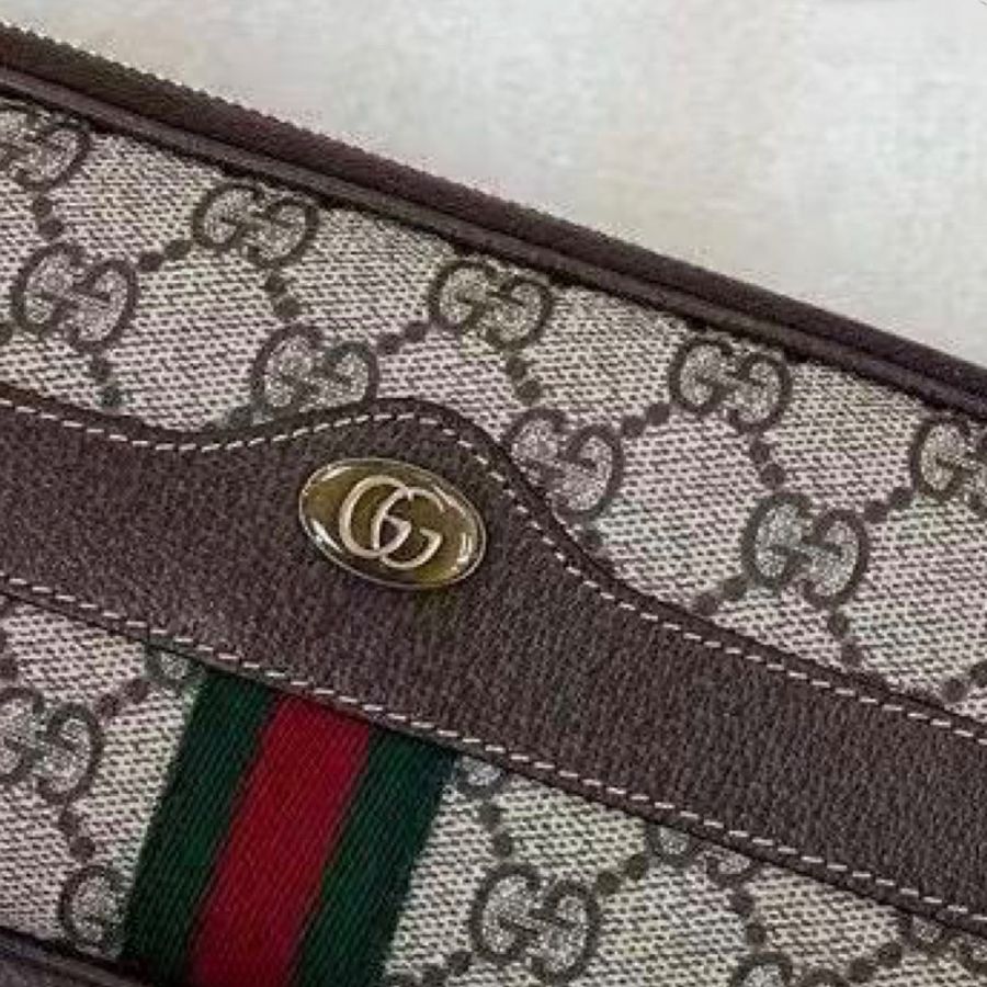 Gucci Ophidia mini-3