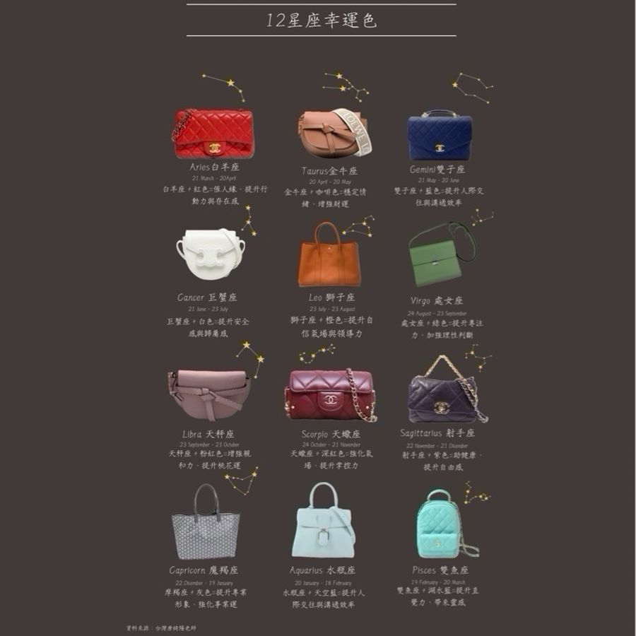 Dior 馬鞍袋 Dior X Sacai 聯名合作限定系列-9