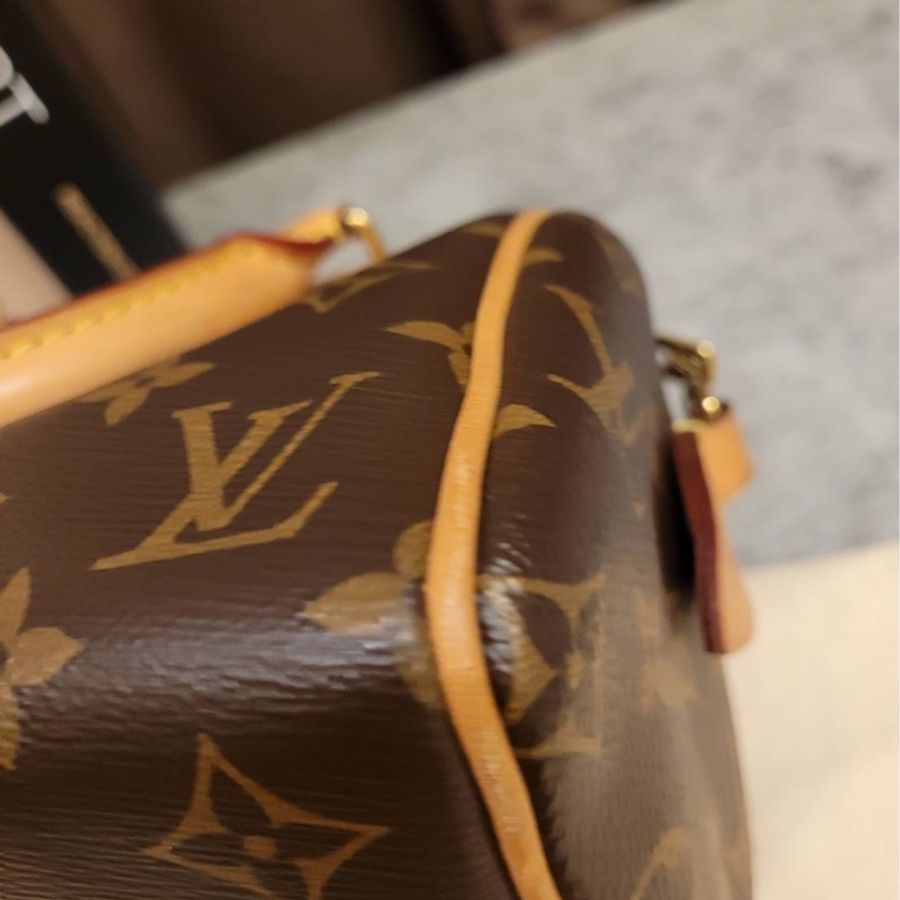 Louis Vuitton Speedy 20 老花 芯片款 有盒有套  奶茶色背帶-12