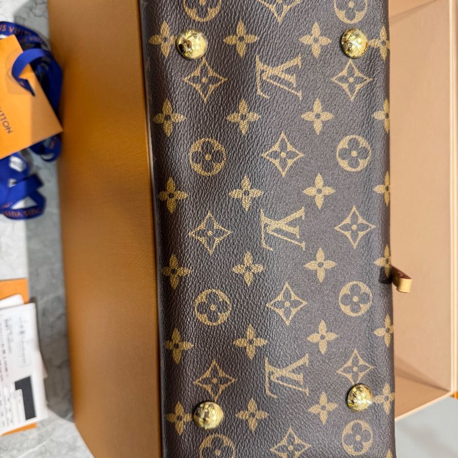 LV Louis Vuitton CarryAll PM Monogram-7
