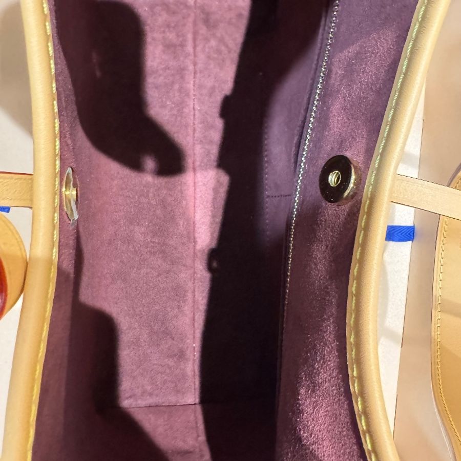 LV Louis Vuitton CarryAll PM Monogram-8