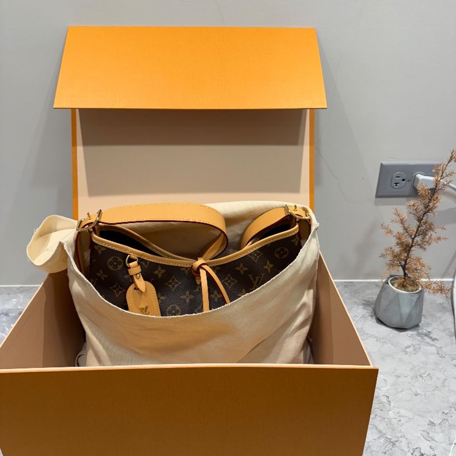 LV Louis Vuitton CarryAll PM Monogram-13