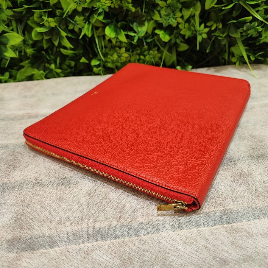 Celine Clutch-2