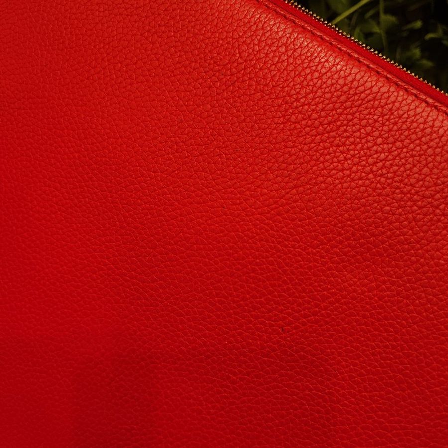 Celine Clutch-14