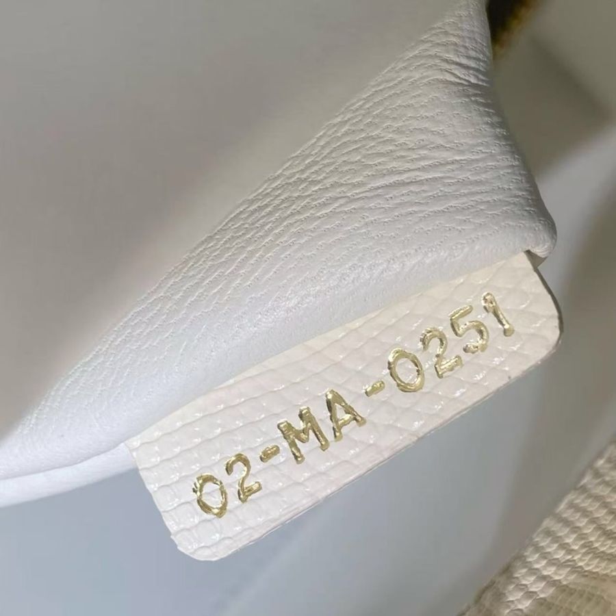 Dior三格白色蜥蜴皮金扣戴妃包,2021年購入-8