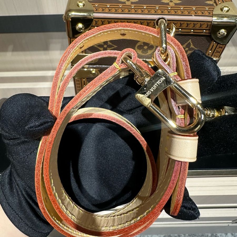 LOUIS VUITTON CAMERA BOX 老花 相机包盒子包小方包手机包斜挎包-10