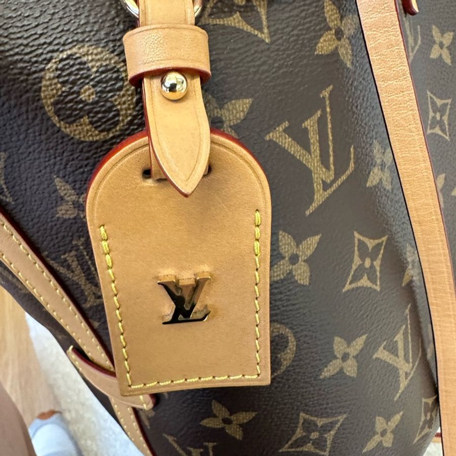 LV路易威登 Carry all小號-18