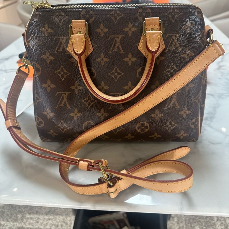LOUIS VUITTON Speedy 25  老花 单肩手提包-8