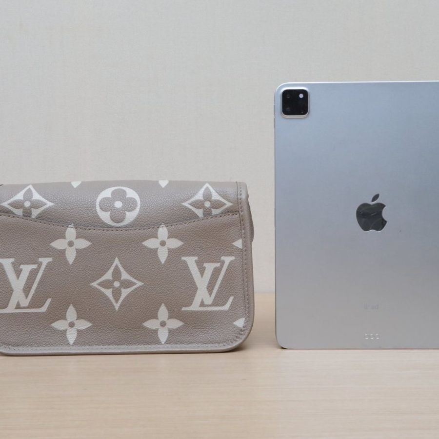 LOUIS VUITTON Diane法棍包24可拆卸寬肩帶大象灰牛皮晶片肩背包-4