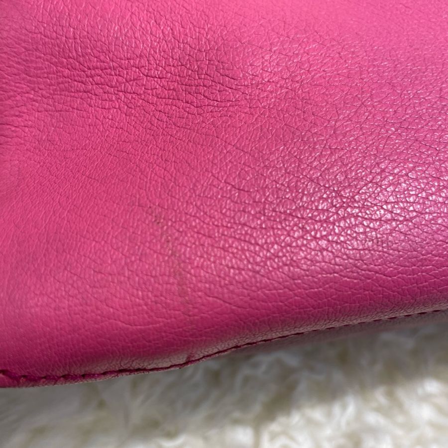 Miu Miu 2 Way Bag-10