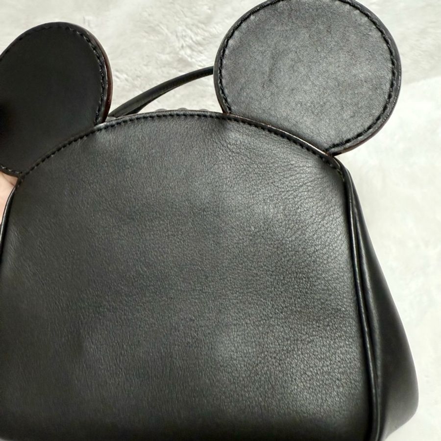 全網最低限量款帶回家❤️全新Coach X Disney聯名限量包 迪士尼米妮斜背手提兩用包-9